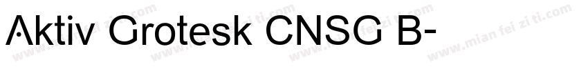 Aktiv Grotesk CNSG B字体转换